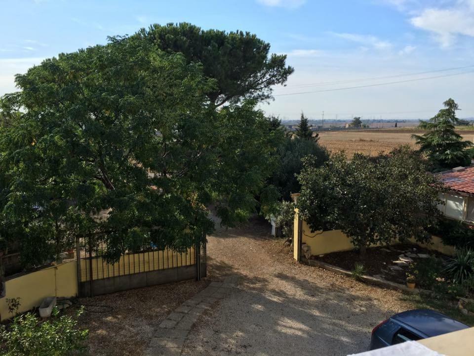 Bed and Breakfast Casale Fernando Tarquinia Exterior foto